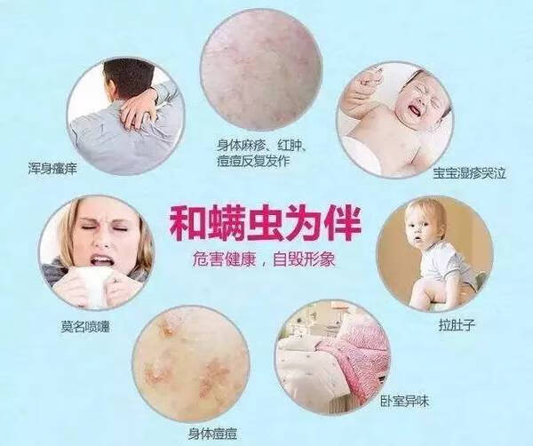 螨虫感染(螨虫图片)