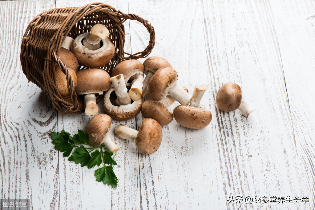 月经期间吃什么比较好(月经来了怎么吃比较好)