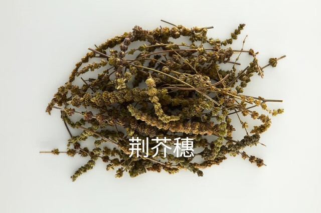 荆芥穗别名叫什么(荆芥穗与荆芥区别功效与作用)