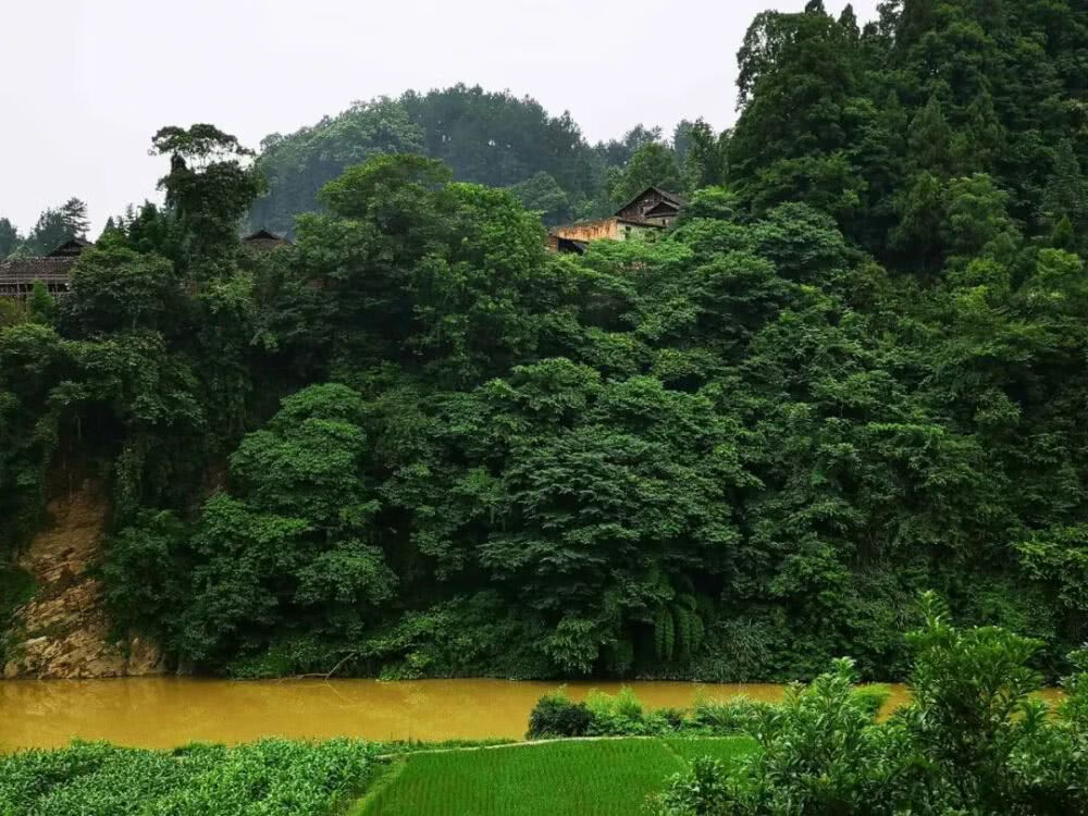 贵州最好风水是哪里宝地(贵州大方风水宝地图片)