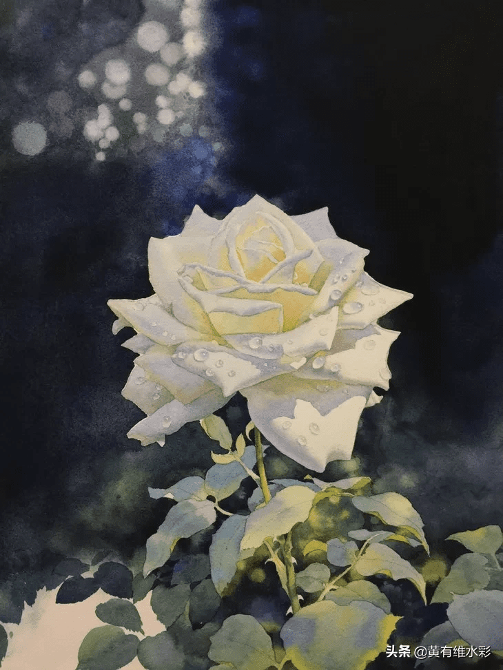 白玫瑰花怎么画白玫瑰油画