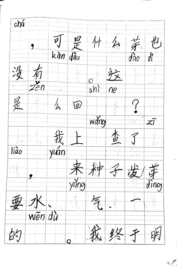 植物生长观察日记（1）