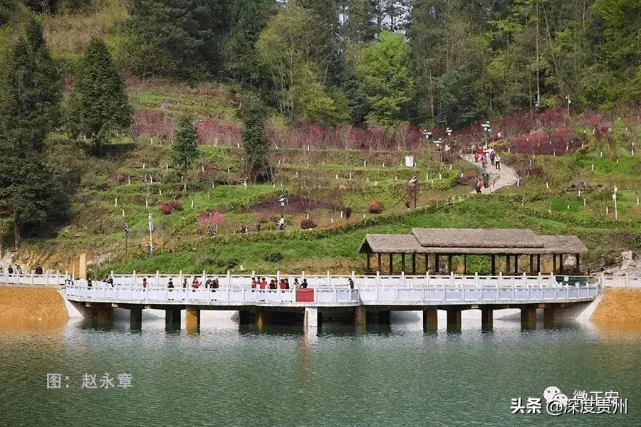 桃花园好玩吗(台湾桃园好玩的地方)