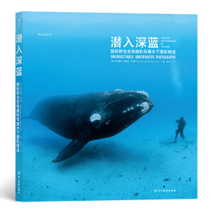 水下摄影