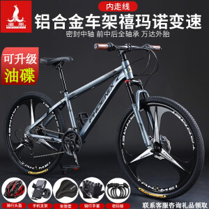27速折叠车