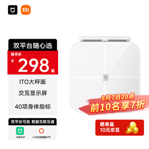 篮球