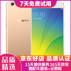 OPPO全网通4G手机