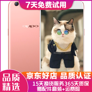 OPPO全网通4G手机