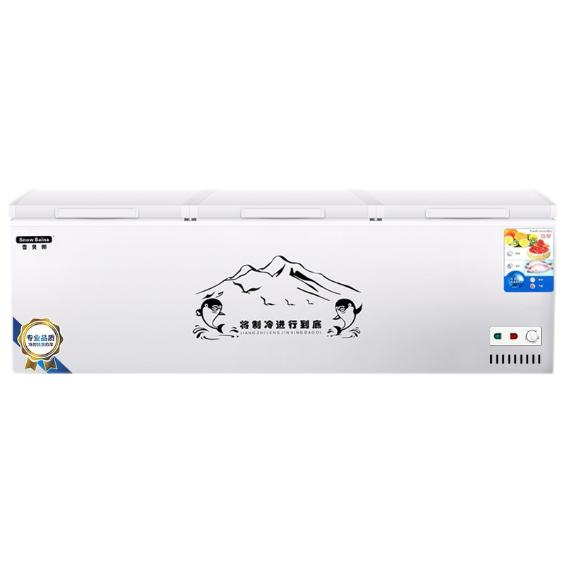 雪贝娜 大容量卧式冰柜