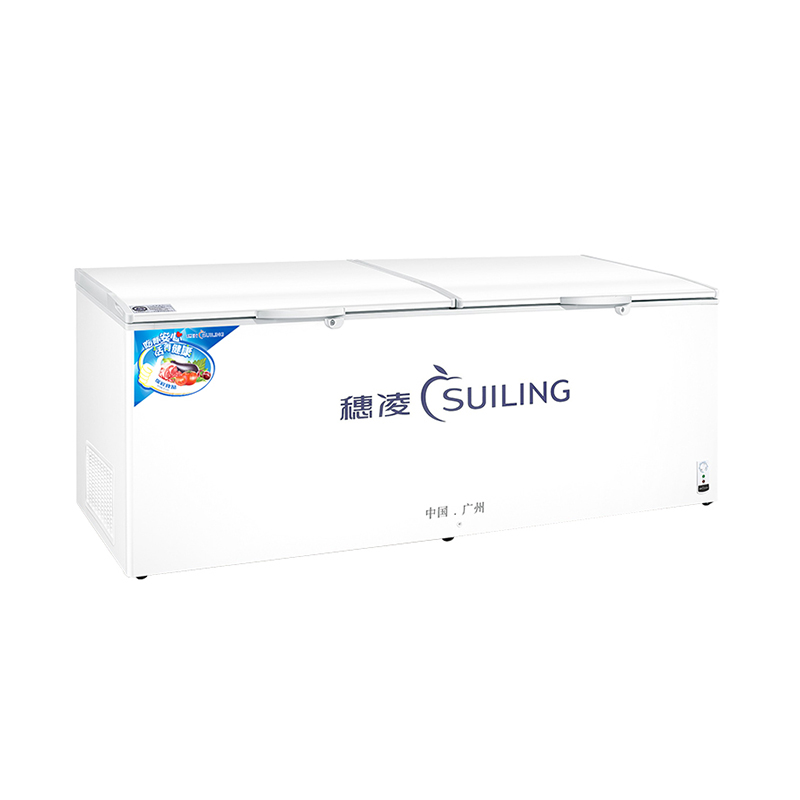 穗凌 低温速冻节能冰柜