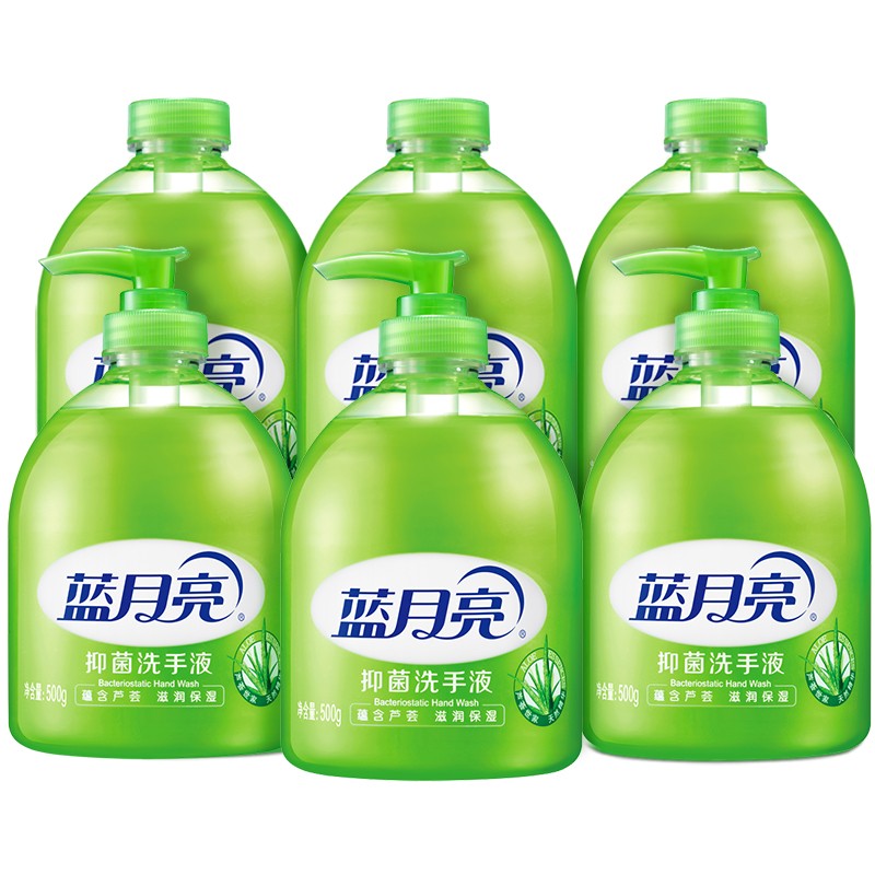 蓝月亮 芦荟香型 洗手液