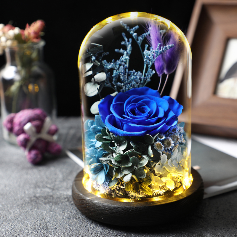 Amyrose永生花玻璃罩玫瑰花康乃馨干花束礼盒摆件七夕情人节三八妇女节生日礼物送女朋友老师闺蜜鲜花邂逅宝蓝 图片价格品牌报价