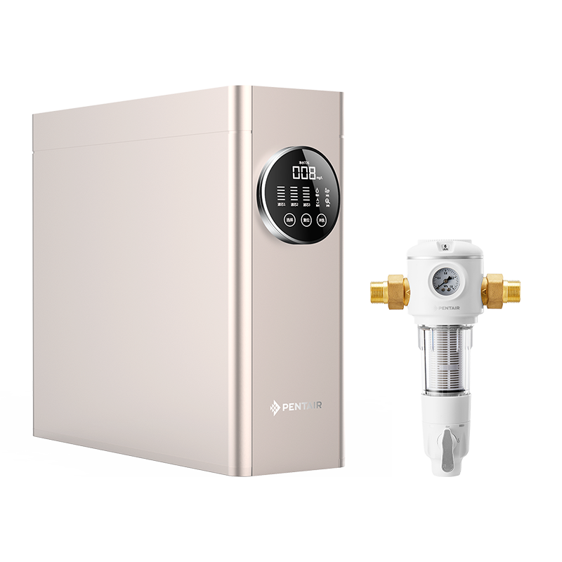 滨特尔 双出水纯水机