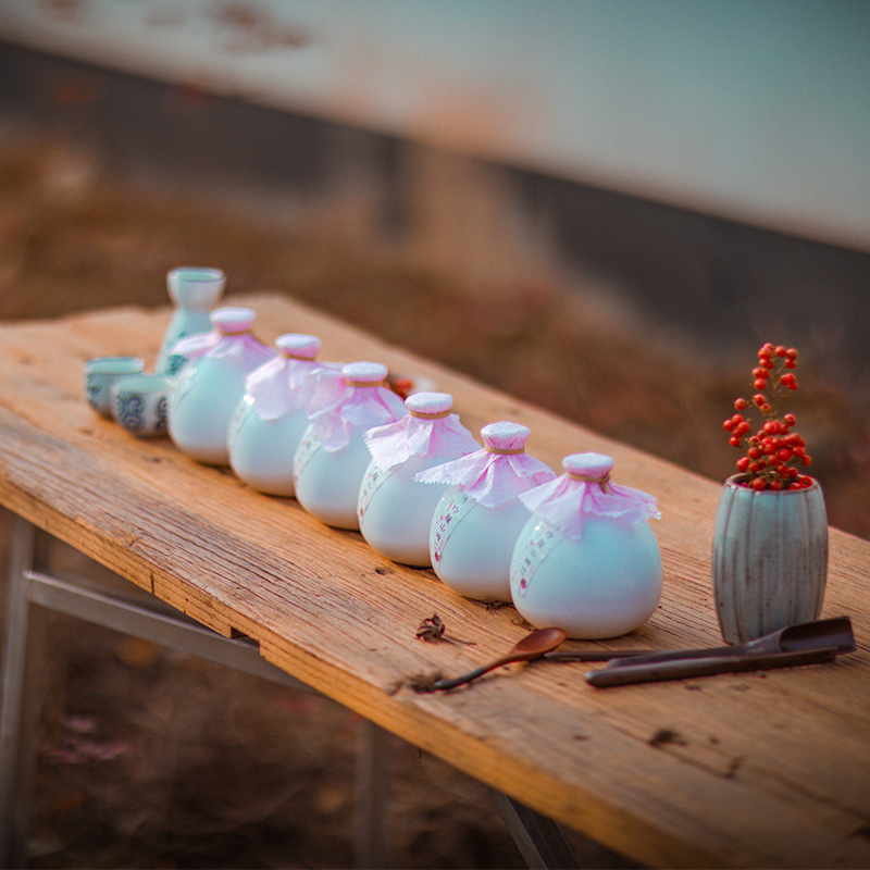 抱龙山牌 绍兴桃花醉黄酒