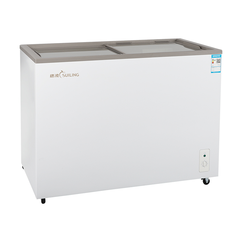 穗凌 165升商用单温冰柜