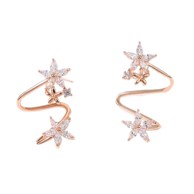 黛洛奇镜面抛光耳饰