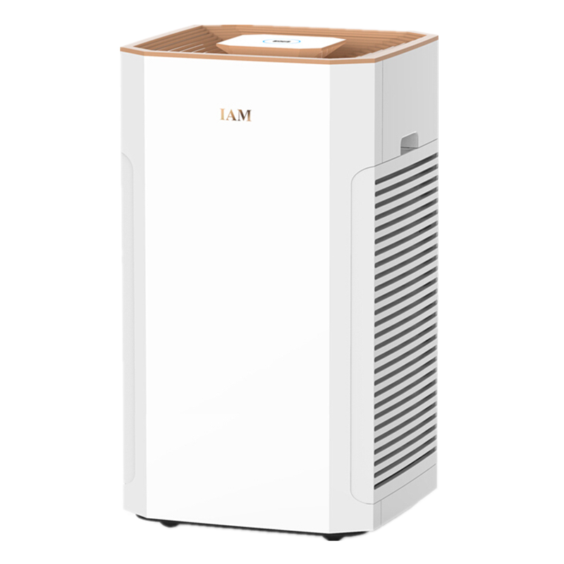 IAM 除甲醛雾霾空气净化器