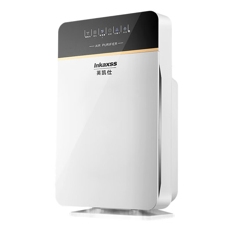 英凯仕 大风机空气净化器