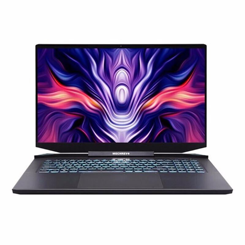 机械革命 17.3英寸游戏本