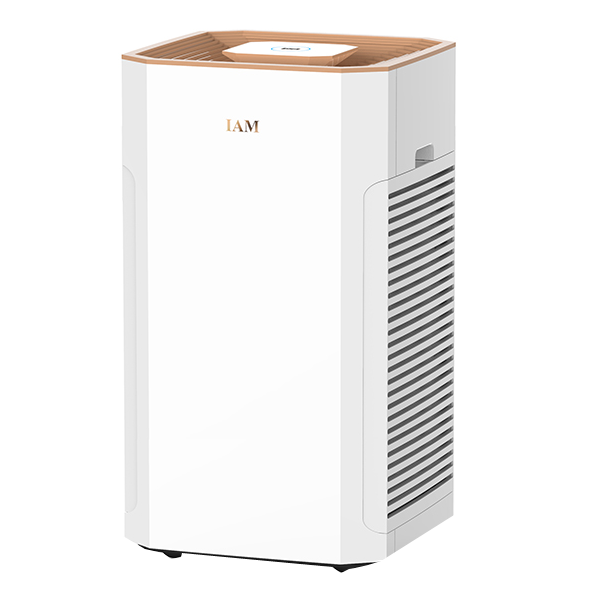IAM除甲醛雾霾空气净化器