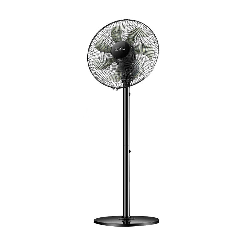 长城 台地两用落地电扇