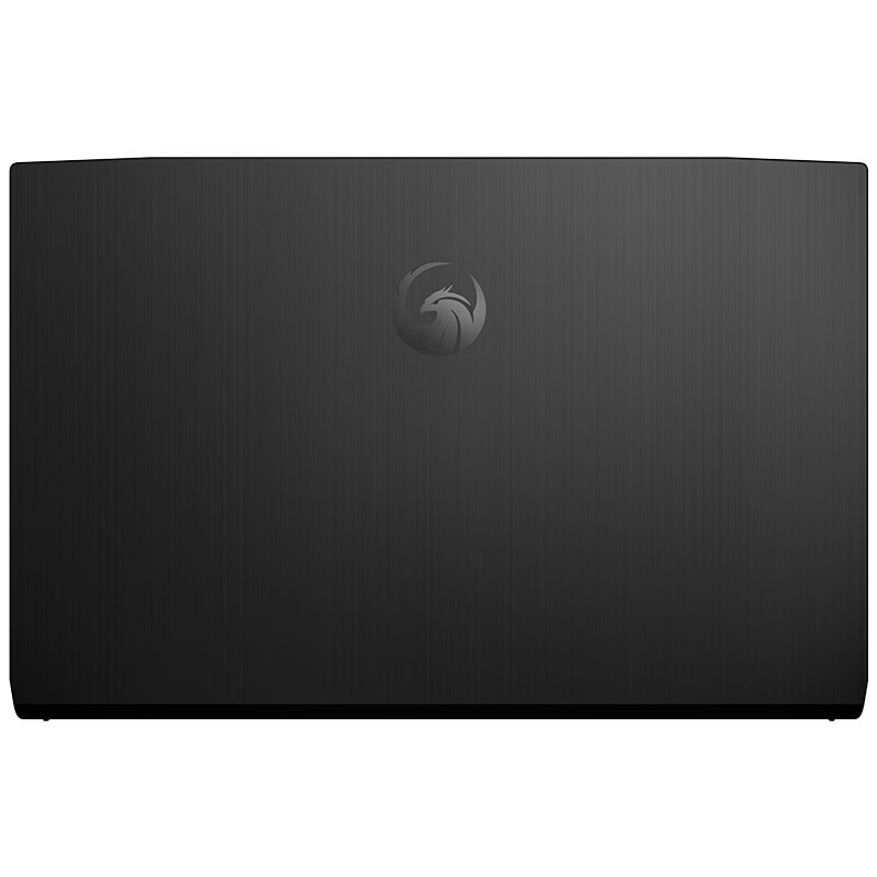 微星 锐龙标压游戏笔记本电脑