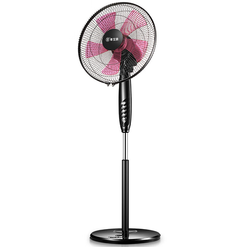 华生 台立两用遥控电风扇