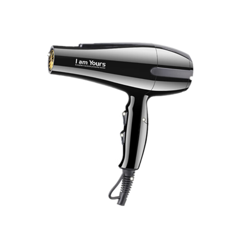 永日 快速干发健康护发电吹风