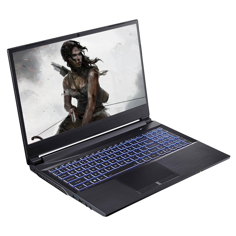 炫龙 15.6英寸电竞游戏本