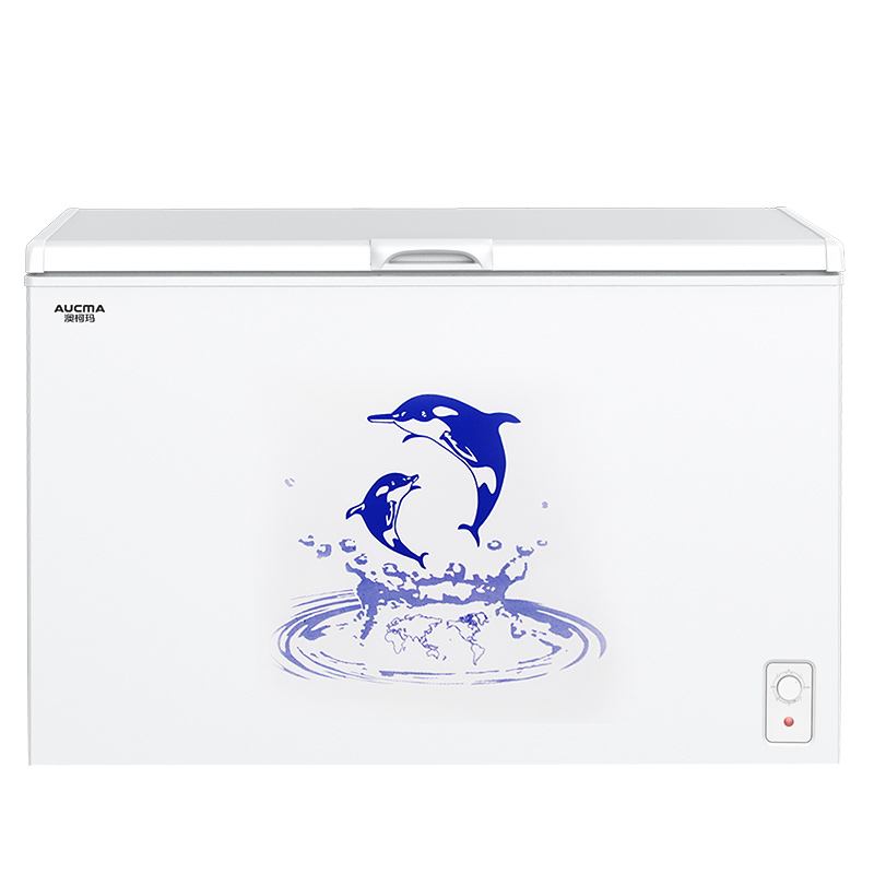 澳柯玛大容量冰柜