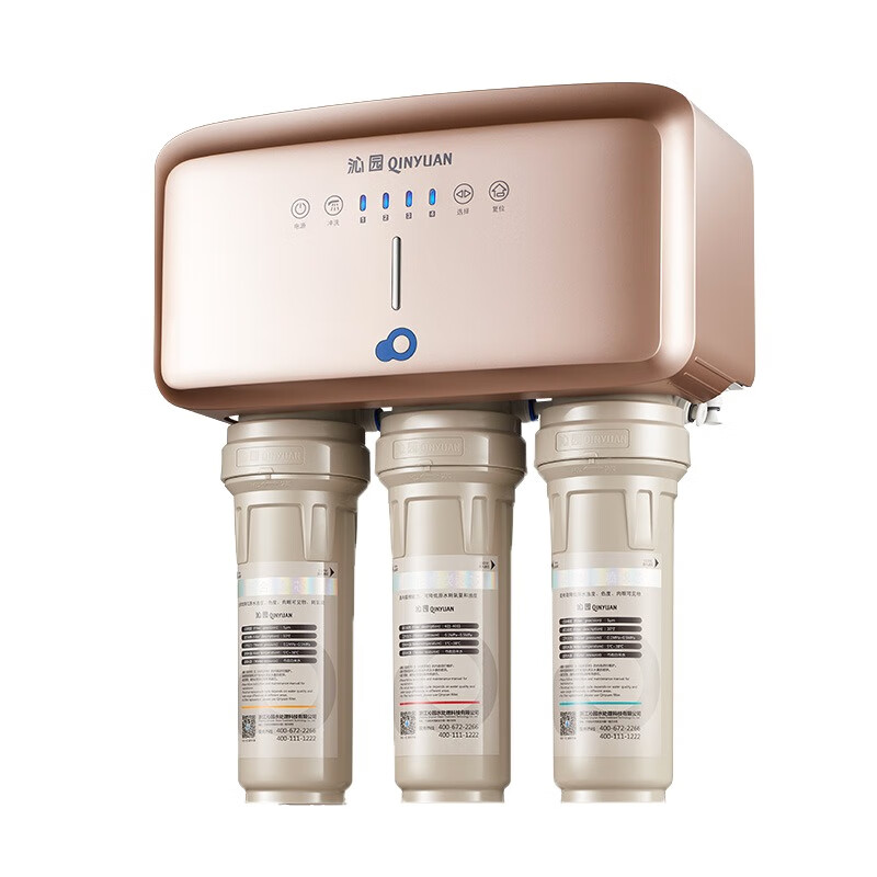 沁园 双出水净水器