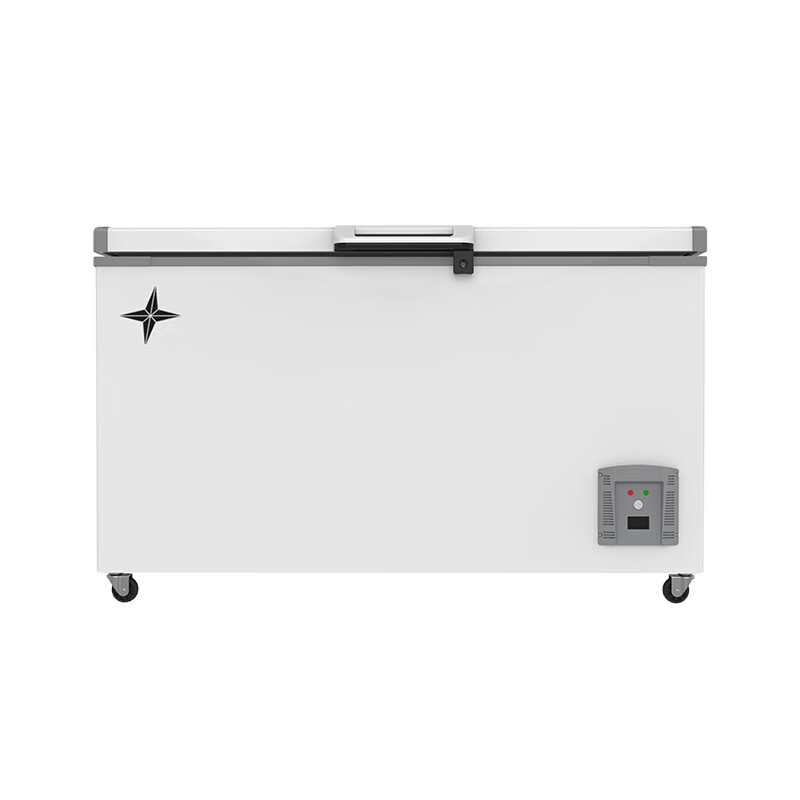 冰星 大容量深冷冻冰柜