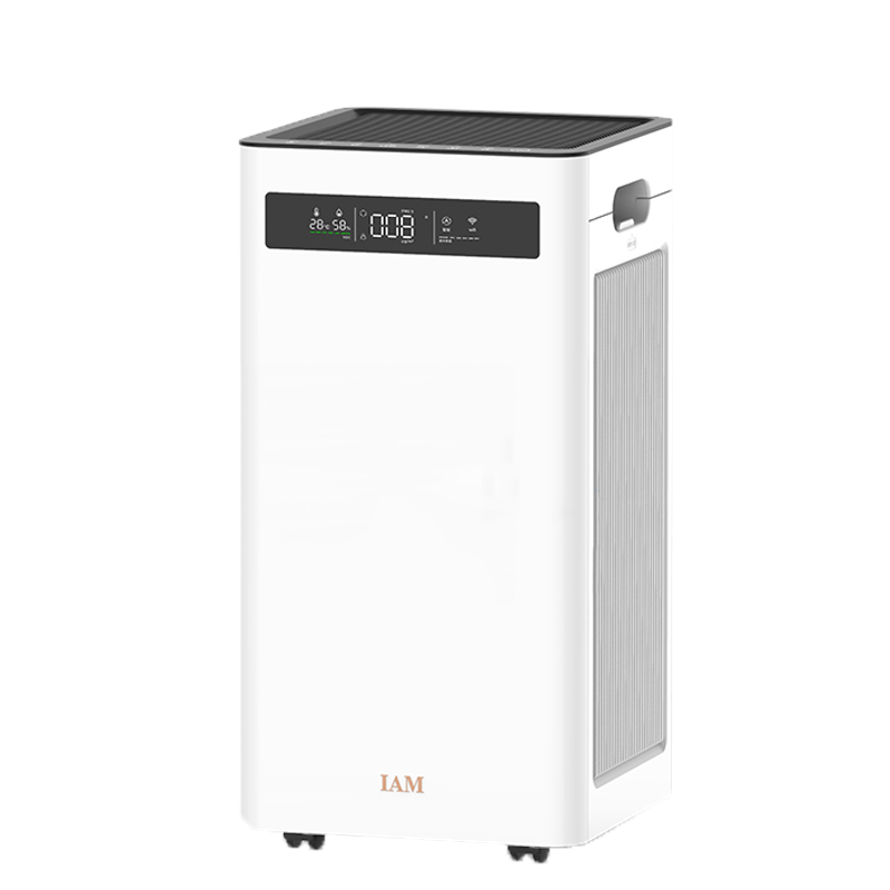 IAM家用负离子空气净化器
