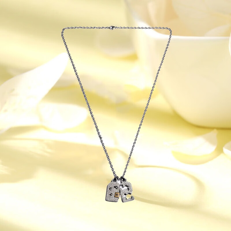 BABAMA 小众个性古银项链