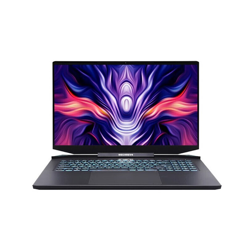 机械革命 大屏电竞 游戏本