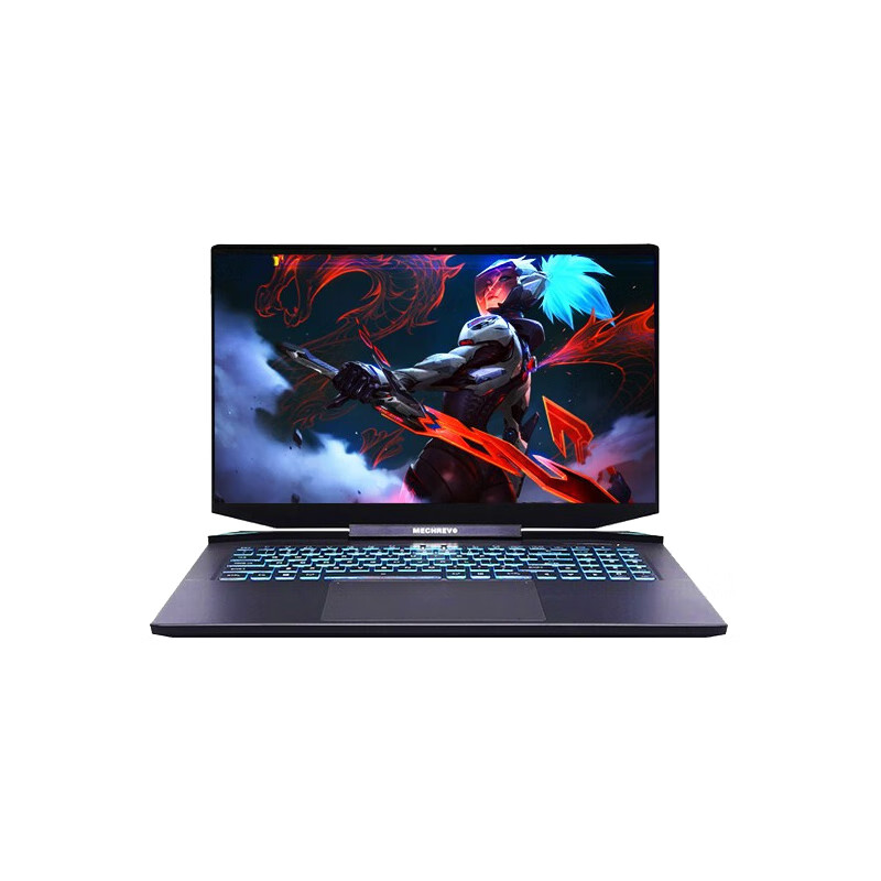 机械革命 电竞独立显卡游戏本