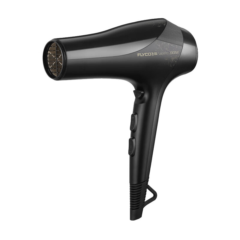 飞科 可定型负离子电吹风