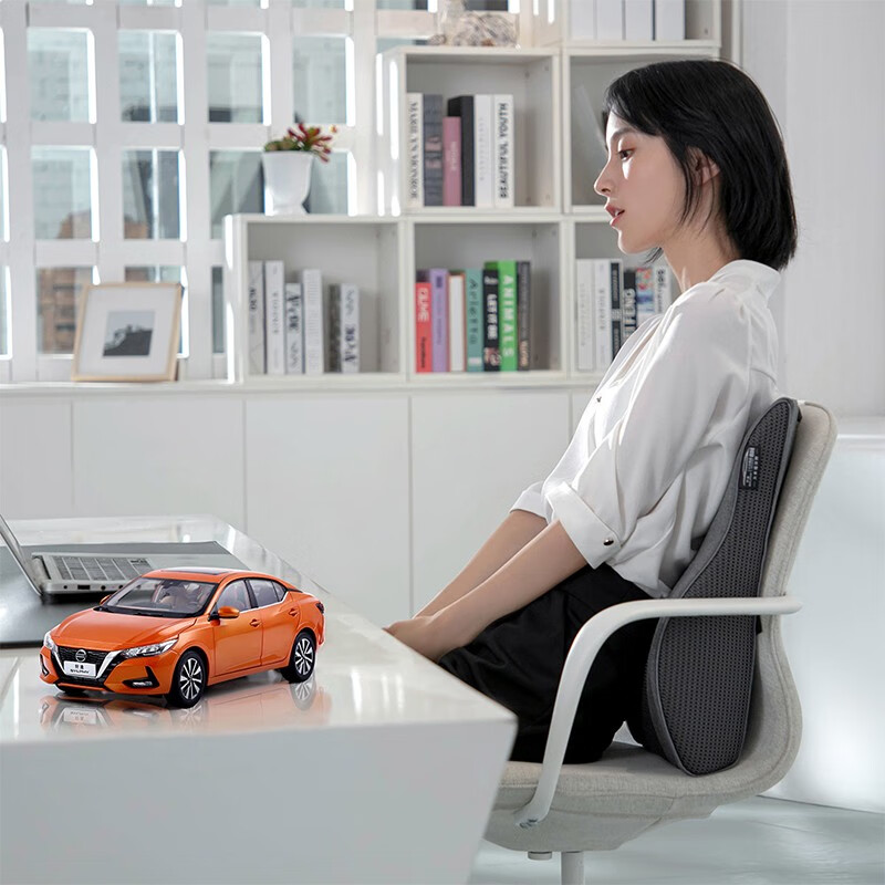 8H 舒适支撑车载腰靠
