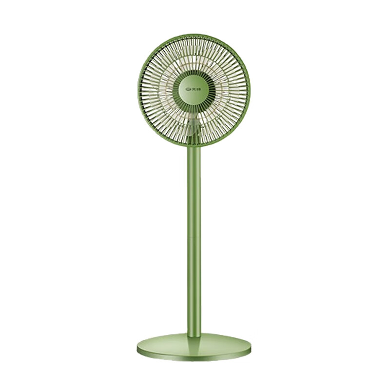 先锋 小型机身可定时电风扇