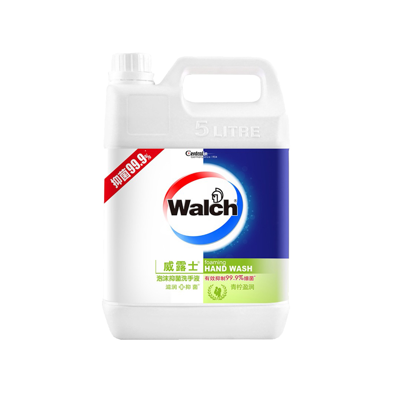 威露士 健康泡沫盈润洗手液