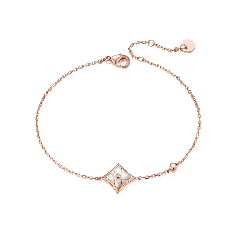 N2it 玫瑰金色钛钢项链