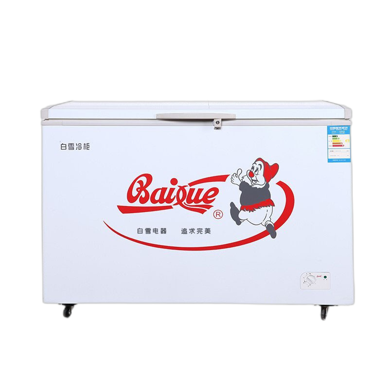 白雪 大容量卧式冷柜