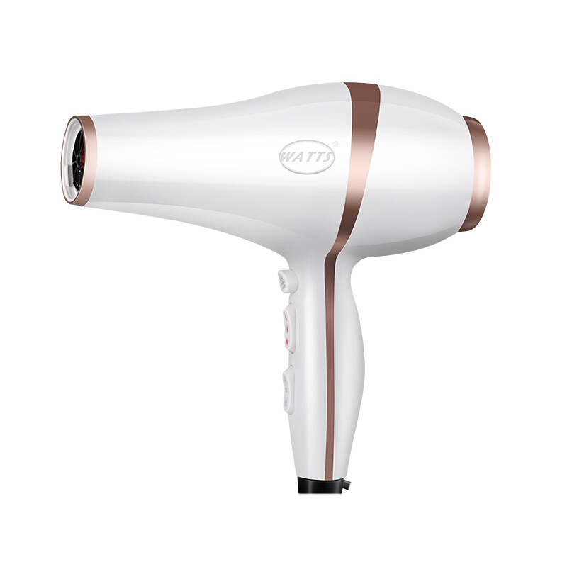 WATTS 冷热风6档吹风机