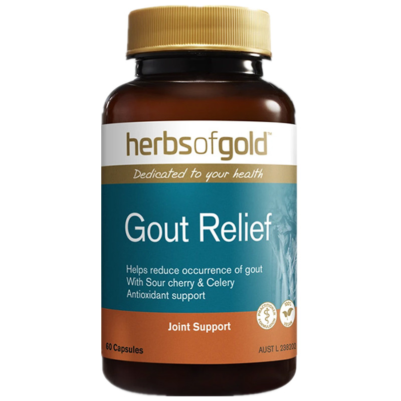 和丽康 进口 风痛灵