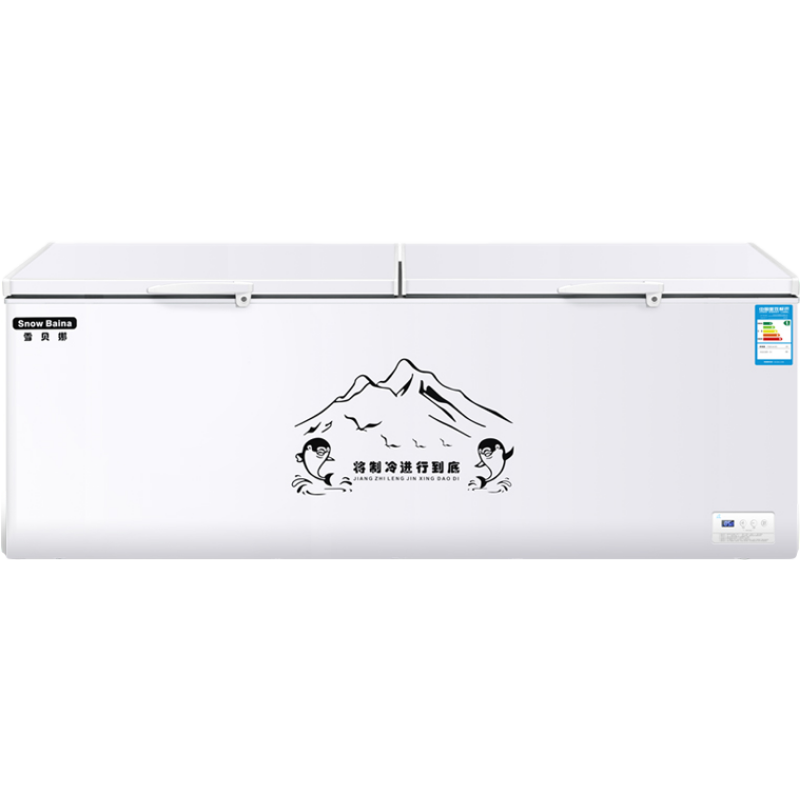 雪贝娜 智能温控商用冰柜