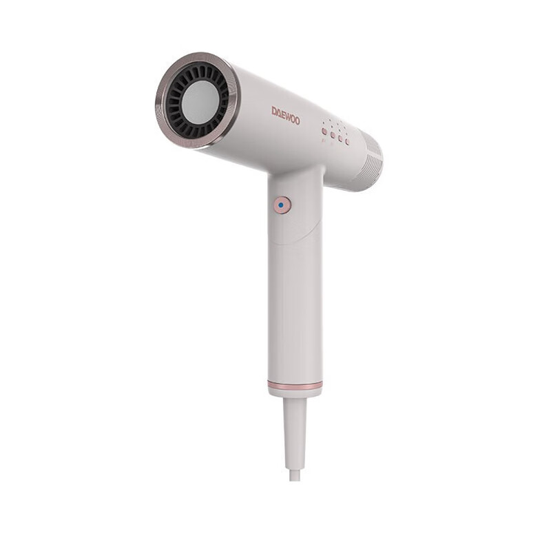 大宇 家用便携吹风机