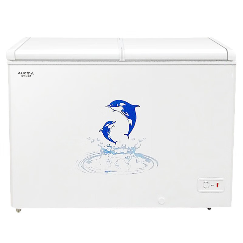 澳柯玛 大容量单温冰柜