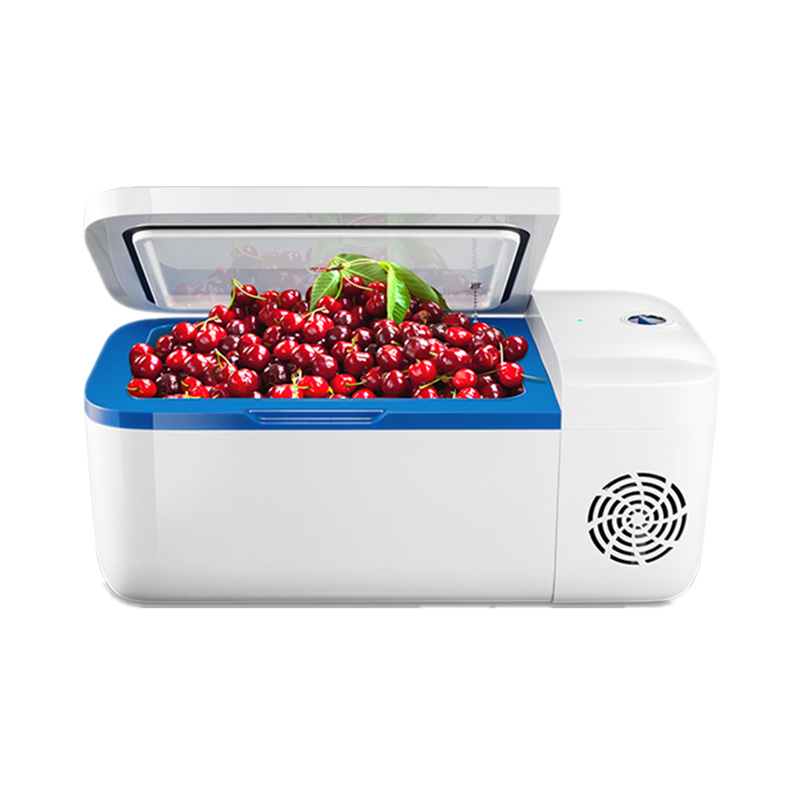 英得尔 五挡调温车载冰箱