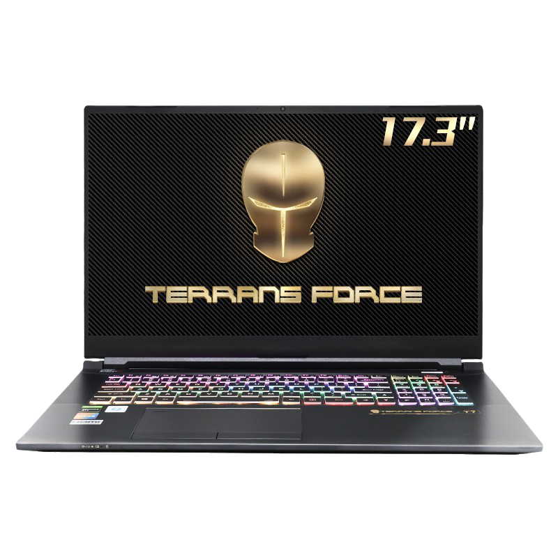 未来人类 17.3英寸游戏本