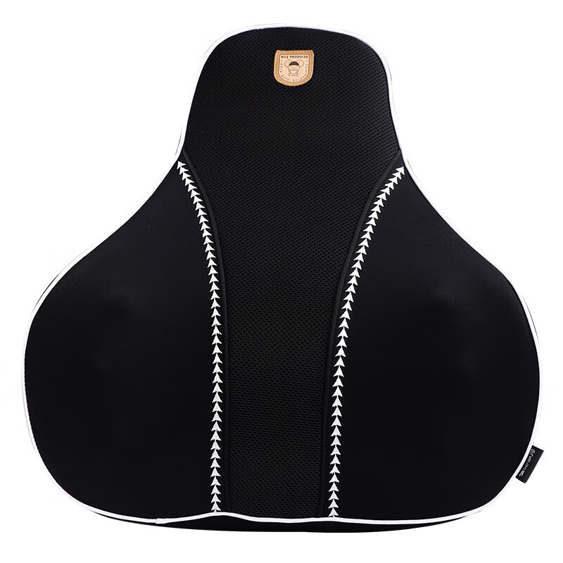 尼罗河 太空记忆棉腰靠